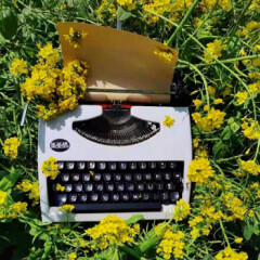 复古打字机英雄HERO老式打字机复古可打字机械英文黑色怀旧礼物花园学生白色