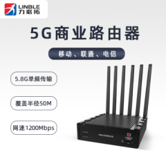 力必拓T3004G\/5G千兆无线路由器无线插卡上网工业家用商业三网通全千兆网口安防T300-5G通用版