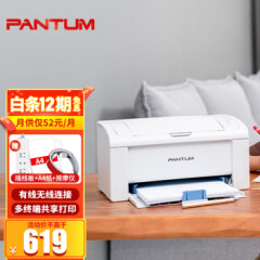 奔图（PANTUM）P2206NW微信分享/黑白激光无线网络WiFi家用作业打印机P2210【USB打印】官方标配