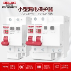 德力西(DELIXI)电气空气开关漏电保护开关2P等多型号可选小型家用断路器DEB9系列带漏保2P63A