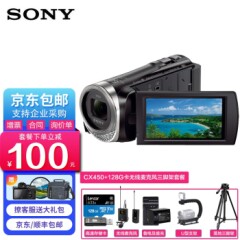 索尼HDR-CX450高清数码摄像机手持DV机考试视频录制家用旅游教学会议录像机无线麦克风+128G卡+三脚架+备电套餐五