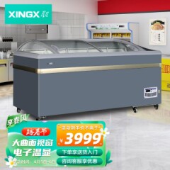 星星（XINGX）600L商用大圆弧柜玻璃门展示冷藏冷冻柜商超组合雪糕饮料冷柜SD/SC-609BYE（灰）