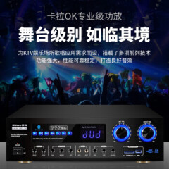 新科 (Shinco) LED-607 家庭影院KTV音响组合套装 家用电视会议舞台大功率音箱功放系统（10英寸）
