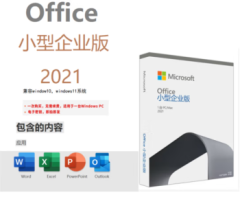 Office2021小型企业版
