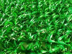 仿真草坪 假草皮装饰塑料人造草坪房顶阳台橱窗装饰草 绿植假草坪