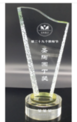 水晶奖杯 290mm*70mm